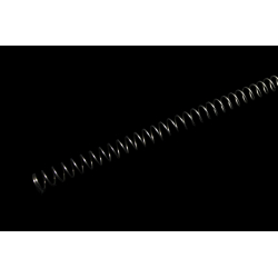 RA Summer Spring WE M14