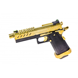 VORSK HI - CAPA 4.3 (VGP-02-06), GBB - Gold