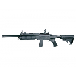Ruger 10/22