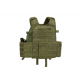 Vesta 6094A-RS Plate Carrier - Zelený