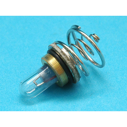 R500 Bulb