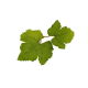 Novritsch LEAF CAMO 3D listy LC1, 50 ks - Fern