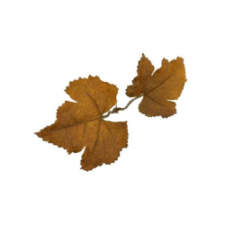 Novritsch LEAF CAMO 3D listy LC1, 50 ks - Sienna