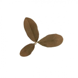 Novritsch LEAF CAMO 3D listy LC2, 50 ks - Rust