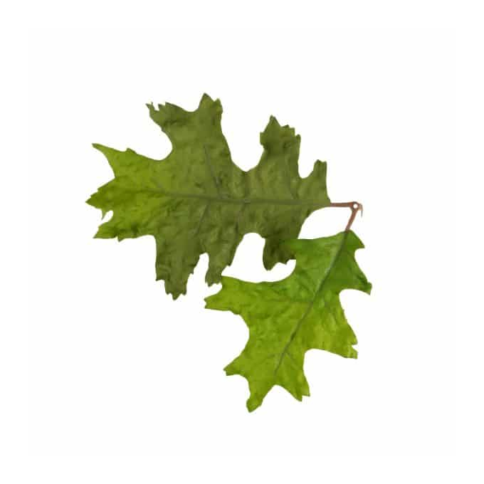 Leaf Camo – LC4 - Oak Green