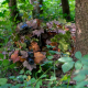 3D Ghillie – Ramenný prehoz - Everglade