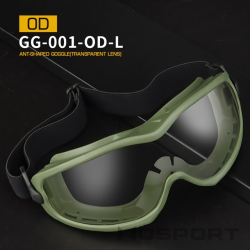 WST ANT Safety Goggles, Clear Lens – Green