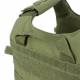 Gunner Lightweight Plate Carrier OLIVE