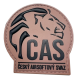 Patch "ČAS" Český Airsoftový Svaz - pískový