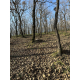Maskovací ramenní převlečník KMCS Cobra Hood - Woodland Floor