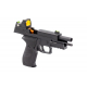 RAVEN R226 + BDS Black