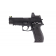 RAVEN R226 + BDS Black