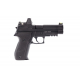 RAVEN R226 + BDS Black