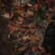 KMCS Cobra Hood / Bolero - Dark Forest