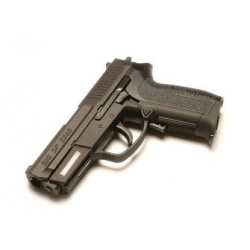 SIG PRO 2340 (for AAA batteries)