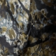 KRYPTEK Waterproof PACK COVER - Kryptek Highlander