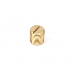 Motor Adjust Screw (metric thread M10x1)