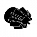 Motor Pinion gears